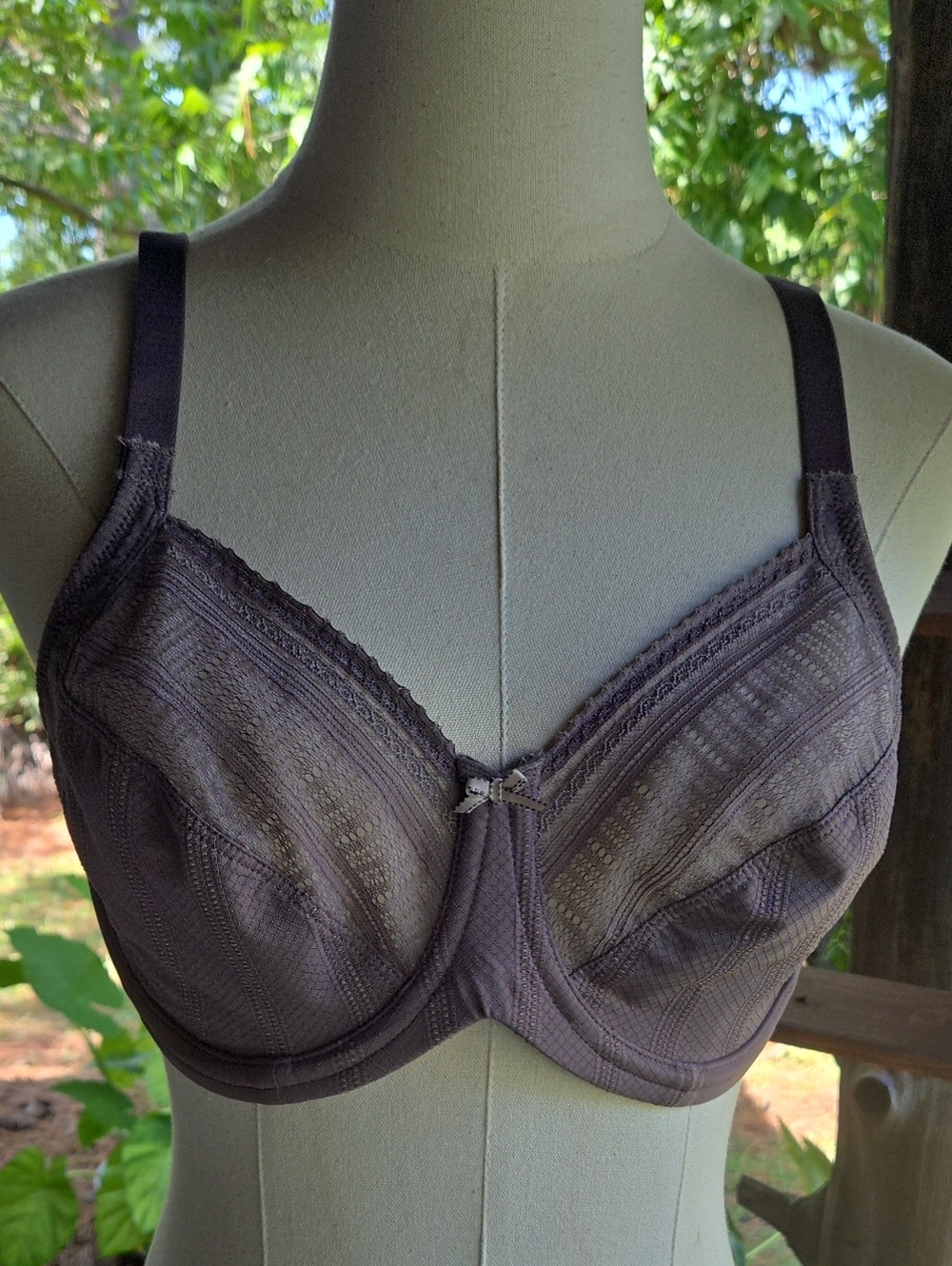 Lilyette Dark Beige Underwire Bra Size 38C
